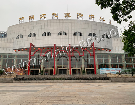 Guangxi Liuzhou Culture and Art Center Theater