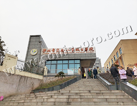 Multi-function Hall and Conference Room of Chengxi School of Luzhou City Experimental Primary School
