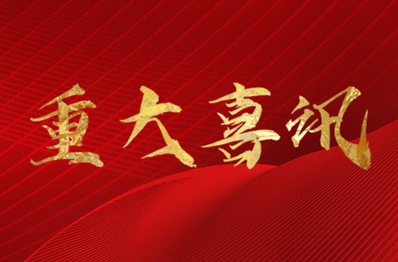 Good news! Jingxiong Enterprise was awarded the recognition of an innovative small and medium-sized enterprise!