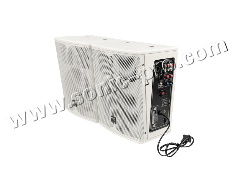 JX-165DF Active teaching pair box (spray paint box with microphone receiving, double treble)