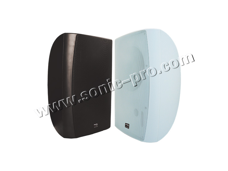 BS-908Wall-mounted speakers (all-weather)