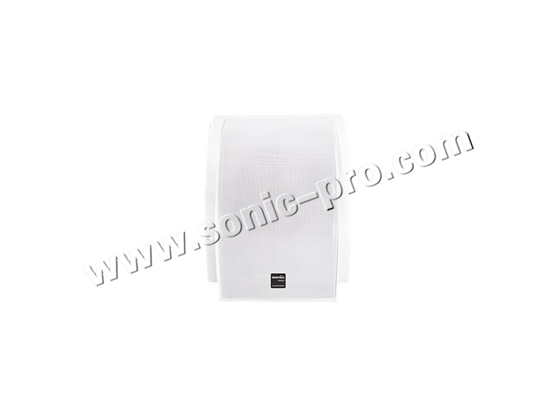 BS-919wall-mounted loudspeaker