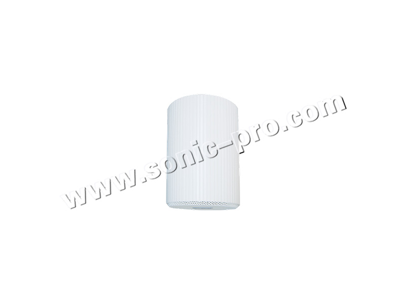 TS-109Ceiling horn