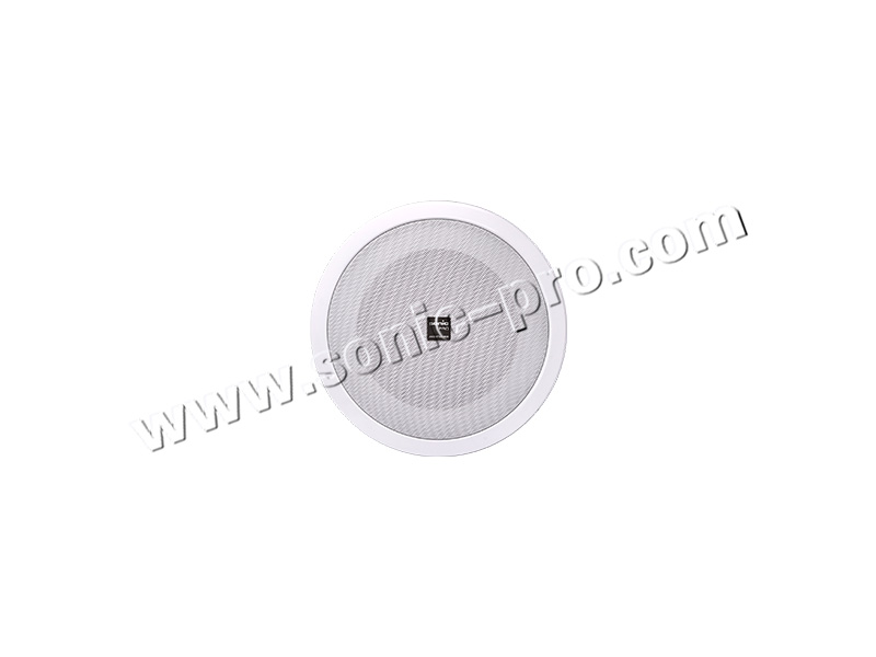CS-604ceiling horn