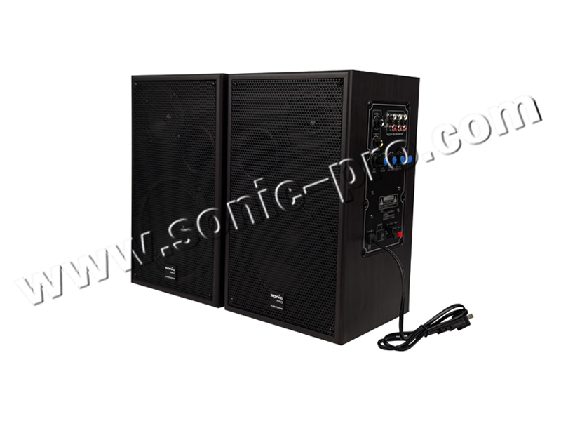 JX-165DB Active teaching box (wood grain tape microphone reception)