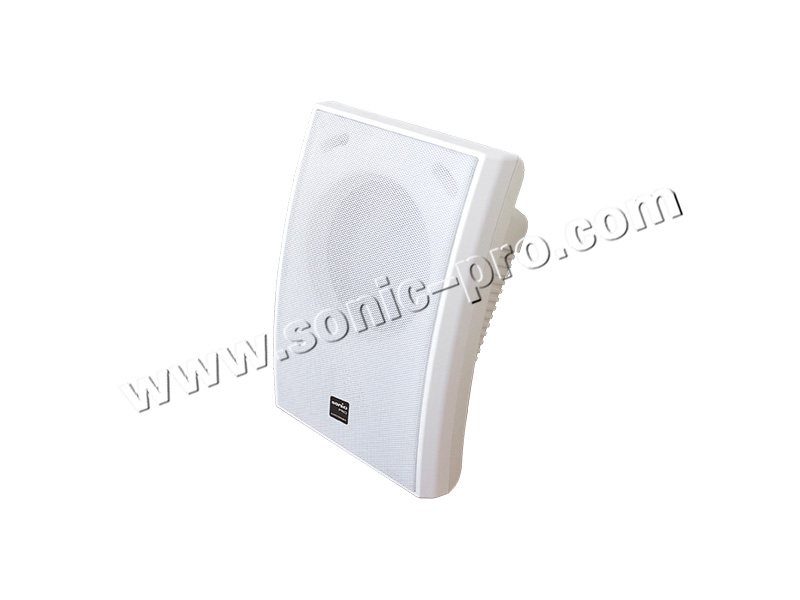 BS-907wall-mounted loudspeaker