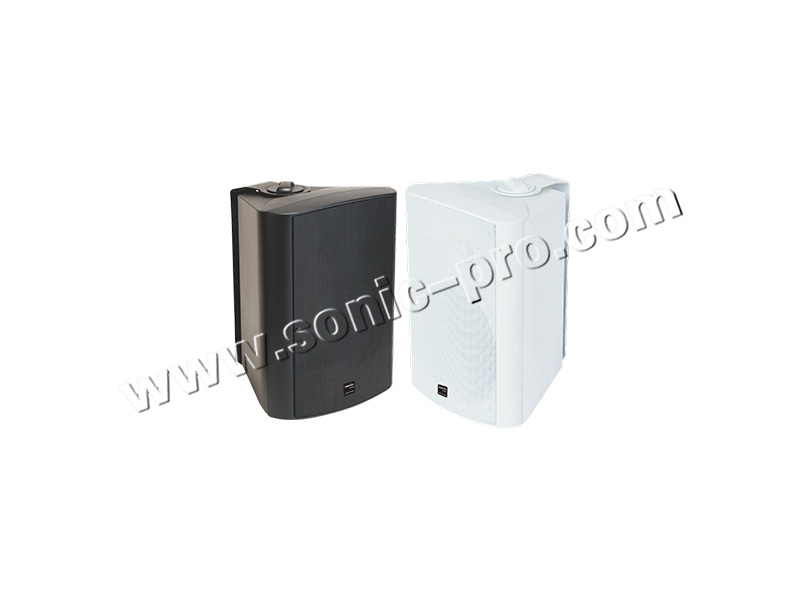BS-924Wall-mounted speakers (all-weather)