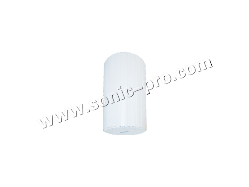TS-110Ceiling horn