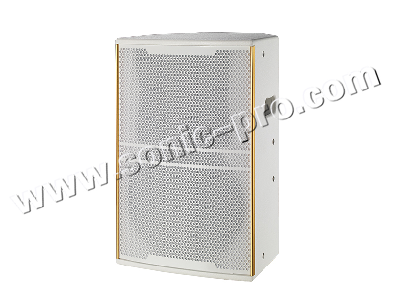 TW-12II Rear guide type full-frequency slightly  (single12inch full frequency)