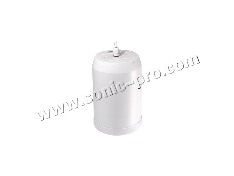 TS-108Ceiling horn