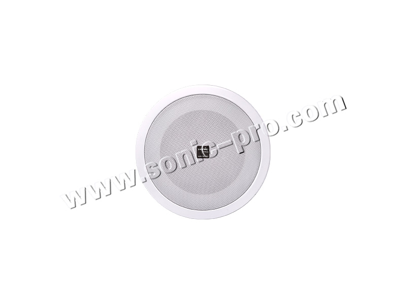 CS-601ceiling horn