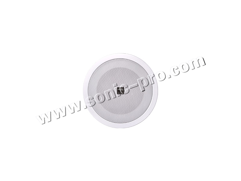 CS-605ceiling horn